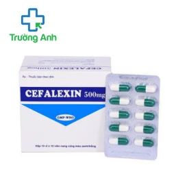 Cefalexin 500mg Tipharco - Thuốc điều trị nhiễm khuẩn hiệu quả 