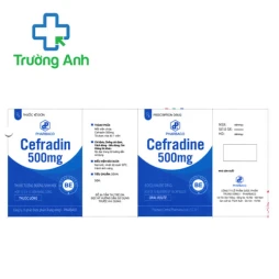 Cefradin 500mg Pharbaco - Thuốc điều trị nhiễm trùng hiệu quả