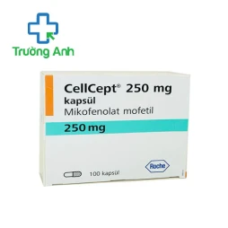 Cellcept 250mg - Thuốc dự phòng thải ghép cho bệnh nhân ghép thận hiệu quả