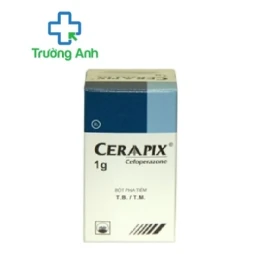 CERAAPIX 1g - Thuốc điều trị nhiễm khuẩn của Pymepharco