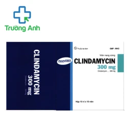 Clindamycin 300mg Phapharco - Thuốc điều trị nhiễm khuẩn hiệu quả