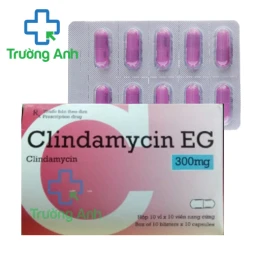 Clindamycin EG 300mg Pymepharco - Điều trị bệnh nhiễm khuẩn