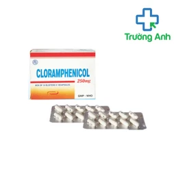Cloramphenicol 250mg Quapharco - Thuốc điều trị nhiễm khuẩn hiệu quả