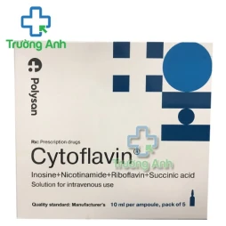 Cytoflavin 10ml - Thuốc điều trị rối loạn tuần hoàn não hiệu quả