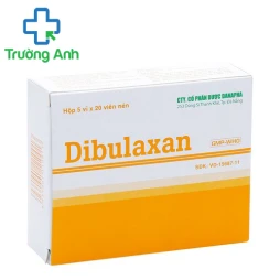 Dibulaxan - Thuốc điều trị viêm xương khớp của Danapha 