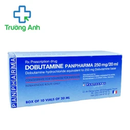 Dobutamin 250mg/20ml Panpharma - Thuốc trợ giúp suy tim hiệu quả