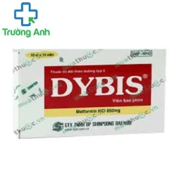 Dybis - Thuốc điều trị bệnh đái tháo đường hiệu quả
