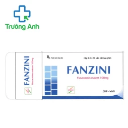 Fanzini 100mg Dong Nam Pharma - Thuốc điều trị trầm cảm