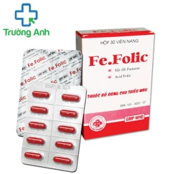 Fe-folic Extra Nic Pharma -  Giúp bổ sung sắt cho người thiếu máu hiệu quả