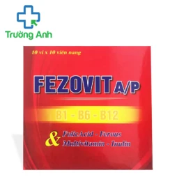 Fezovit A/P - Phòng ngừa và hỗ trợ điều trị trong thiếu máu