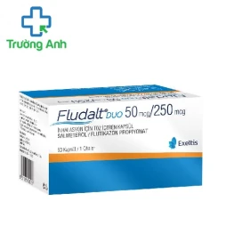 Fludalt Duo 250mcg/50mcg - Thuốc điều trị bệnh hen phế quản
