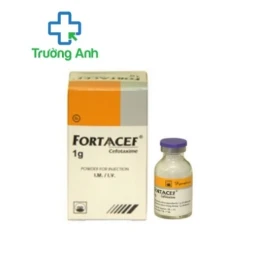 FORTAACEF 1g -  Thuốc điều trị các bệnh nhiễm khuẩn nặng