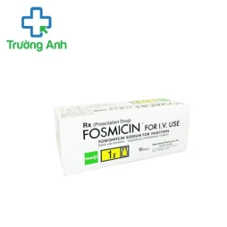 Fosmicin for I.V. Use 2g Meiji Seika - Thuốc điều trị nhiễm trùng