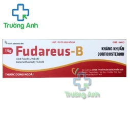 Fudareus-B 15g VCP - Kem bôi da điều trị chàm hiệu quả   