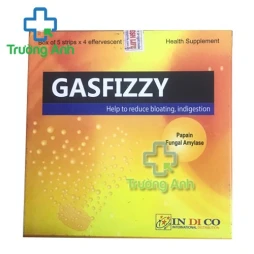 Gasfizzy effer - Viên sủi hỗ trợ điều trị rối loạn tiêu hóa hiệu quả