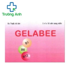 Gelabee Phil Inter Pharma - Thuốc bổ sung các Vitamin nhóm B