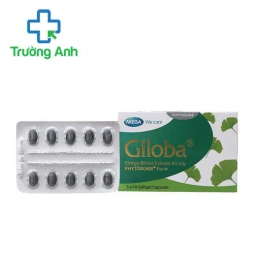 Giloba - Giúp cải thiện tuần hoàn não hiệu quả của Thái Lan