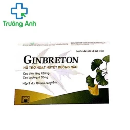 Ginbreton Pymepharco - Hỗ trợ hoạt huyết dưỡng não hiệu quả