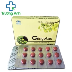 Gingokan Mebiphar - Giúp điều trị chứng thần kinh hiệu quả