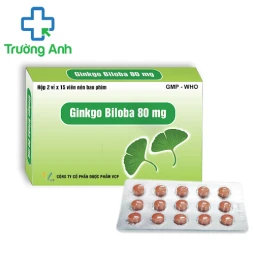 Ginkgo Biloba 80mg VCP - Giúp điều trị thiểu năng tuần hoàn não hiệu quả