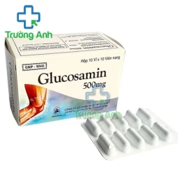 Glucosamin 500mg DonaiPharm - Thuốc giảm đau, chống viêm xương khớp
