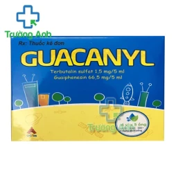 Guacanyl - Thuốc điều trị nhiễm trùng hô hấp hiệu quả