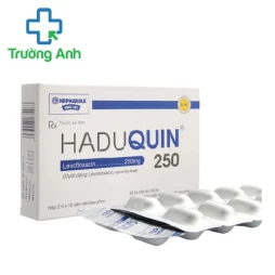 Haduquin 250 HD Pharma - Thuốc điều trị viêm, nhiễm khuẩn