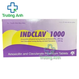 Indclav 156 - Thuốc điều trị nhiễm khuẩn hiệu quả của Ấn Độ