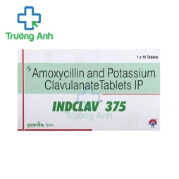 Indclav 375 - Thuốc điều trị nhiễm khuẩn hiệu quả của Ấn Độ