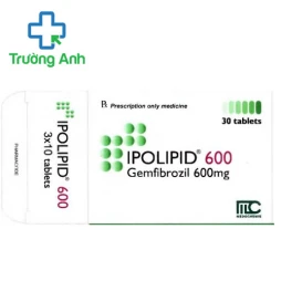 Ipolipid 600 Medochemie - Thuốc điều trị tăng lipid huyết hiệu quả