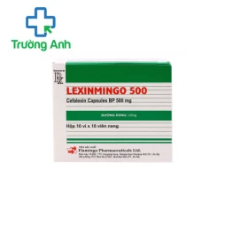 LEXINMINGO 500 - Thuốc chống nhiễm khuẩn của Ấn Độ