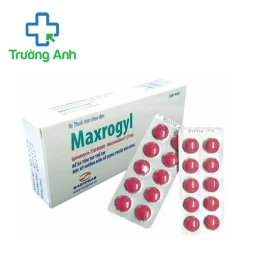 Maxrogyl Hatipharco - Thuốc điều trị nhiễm khuẩn răng miệng