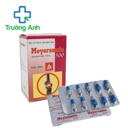 Meyersamin 500 - Giúp tăng tiết dịch khớp hiệu quả