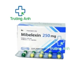 Mibelexin 250mg Hasan - Thuốc điều trị nhiễm khuẩn