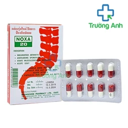 NOXA 20 - Giúp chống viêm và giảm đau xương khớp hiệu quả của Thái Lan
