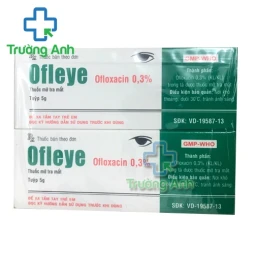 Ofleye - Thuốc điều trị các bệnh nhiễm trùng mắt hiệu quả