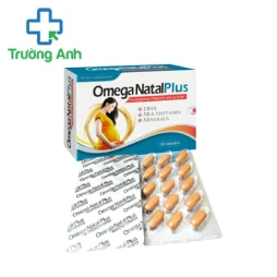 Omega Natal Plus - Sản phẩm cung cấp dưỡng chất cho bà bầu