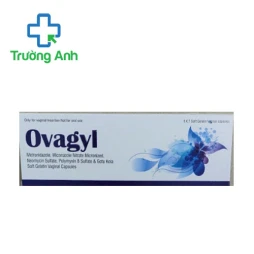 Ovagyl - Viên đặt âm đạo điều trị viêm âm hộ hiệu quả