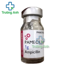 Pamecillin 1g - Thuốc điều trị nhiễm khuẩn hiệu quả