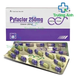 Pyfaclor 250mg - Thuốc điều trị nhiễm khuẩn hiệu quả của Pymepharco