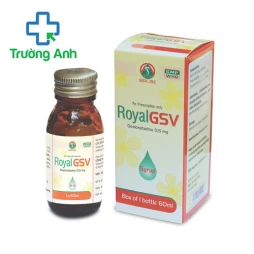Royal GSV - Thuốc điều trị viêm mũi dị ứng, mề đay của Dược phẩm Hà Tây