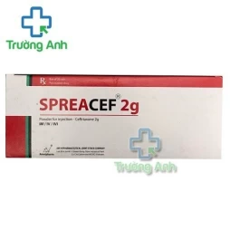 Spreacef 2g Amvipharm - Thuốc điều trị nhiễm khuẩn hiệu quả