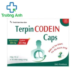 Terpin codein caps DHG - Thuốc điều trị ho khan hiệu quả