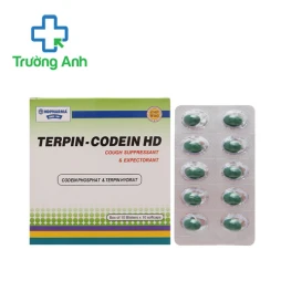 Terpin codein HD - Thuốc điều trị ho khan hiệu quả