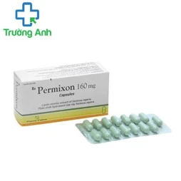 Permixon 160mg - Thuốc điều trị rối loạn tiểu tiện hiệu quả