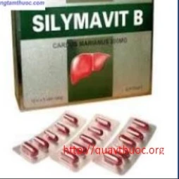 Silymavit B - Thuốc điều trị các bệnh lý ở gan hiệu quả
