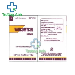 Vancomycin 500mg Pharbaco - Thuốc điều trị nhiễm khuẩn hiệu quả