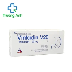 Vinfadin V20 Vinphaco - Thuốc điều trị loét dạ dày tá tràng hiệu quả
