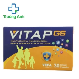 Vitap GS - Hỗ trợ bổ sung vitamin và khoáng chất cho cơ thể