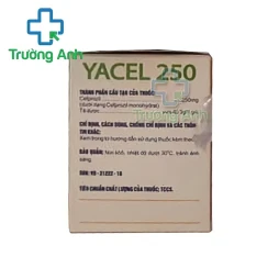 Yacel 250 - Thuốc điều trị nhiễm khuẩn hiệu quả của Dopharma